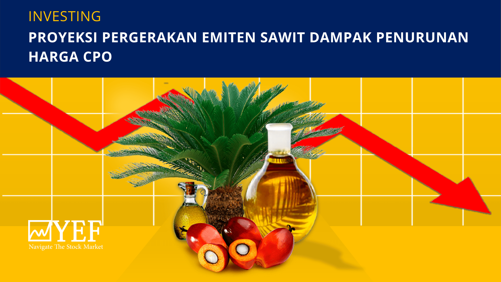 Proyeksi Pergerakan Emiten Sawit Dampak Penurunan Harga CPO – YEF Advisor